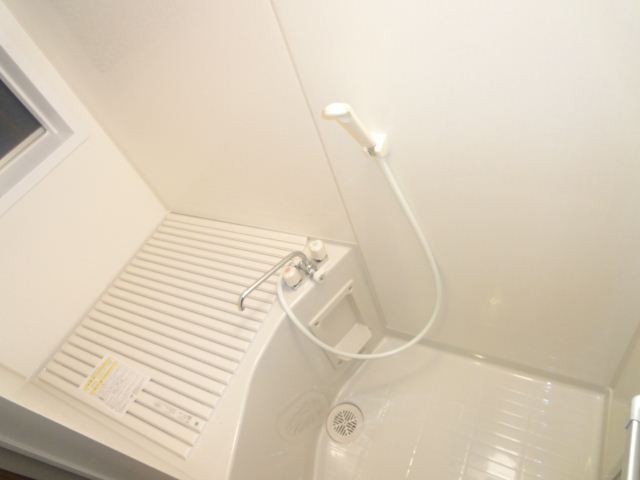 Bath. With bath shower