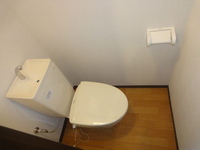 Toilet. Western-style toilet