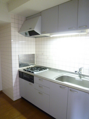 Kitchen. Two-burner gas stove kitchen