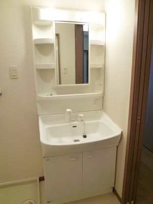 Washroom. Wash basin with shampoo dresser