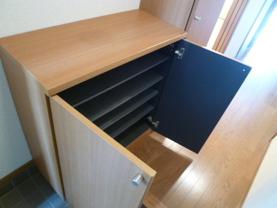 Entrance. With shoe box