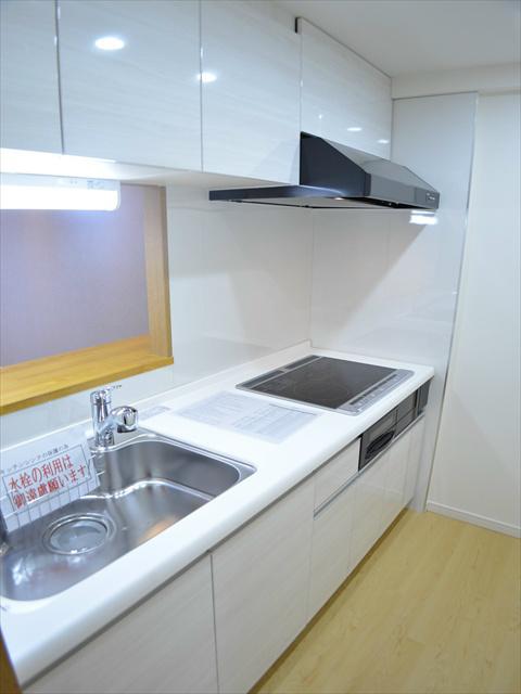 Kitchen. Face-to-face kitchen