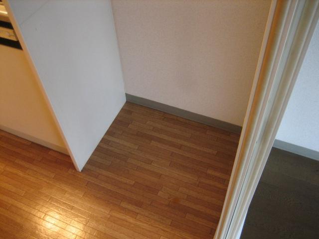 Other room space. Refrigerator storage (the same type)