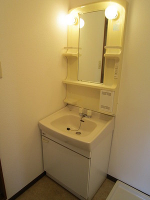 Washroom. Convenient independent wash basin