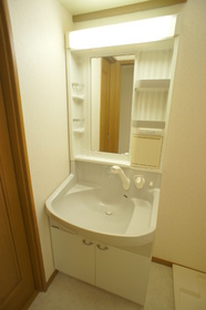 Washroom. Shampoo dresser with separate wash basin