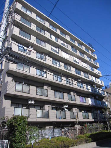 Building appearance. Building appearance (another angle)