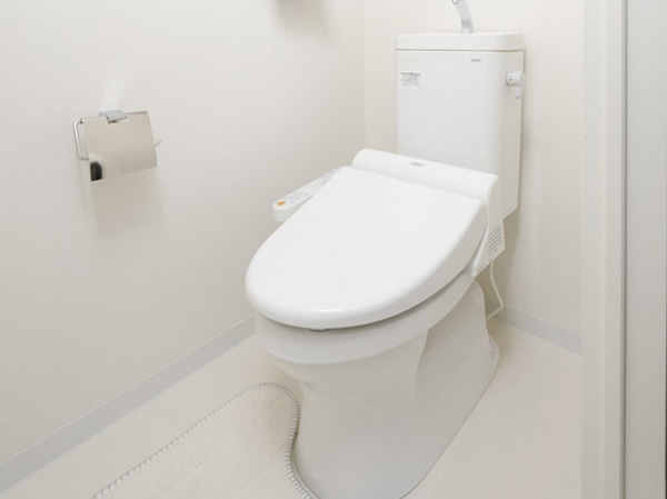 Interior. Washlet toilet