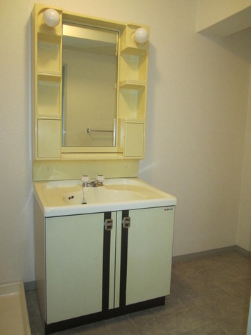 Washroom. Bathroom vanity