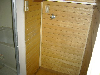 Washroom. This basin