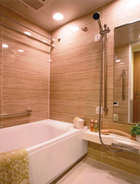 Bathroom. Indoor (10 May 2013) Shooting