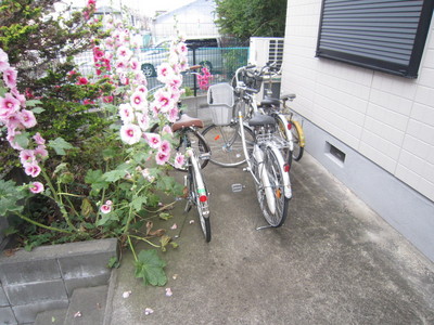 Other common areas. Bicycle-parking space