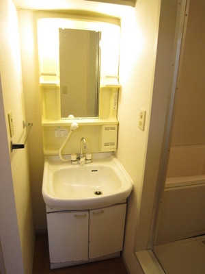 Washroom. Independence is a wash basin