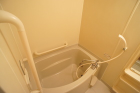 Bath. Reheating, Bathroom dryer with bus