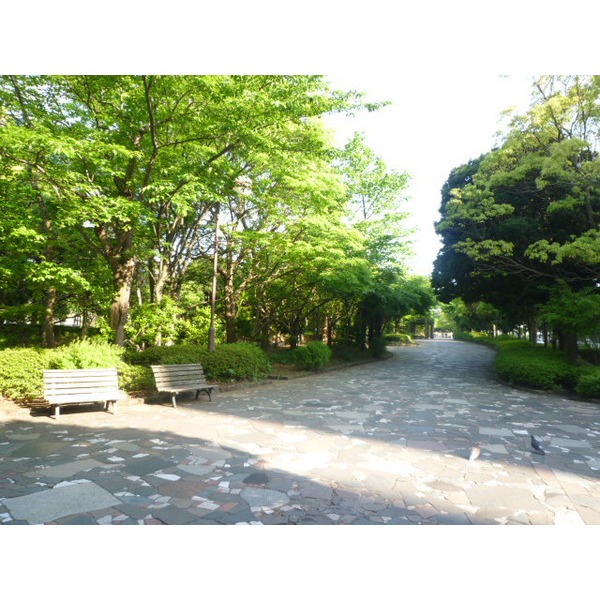 Primary school. 194m to Edogawa Ward freshening the second elementary school (elementary school)