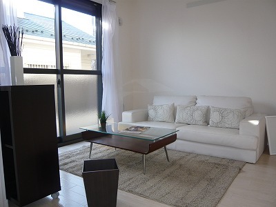 Living and room. model room