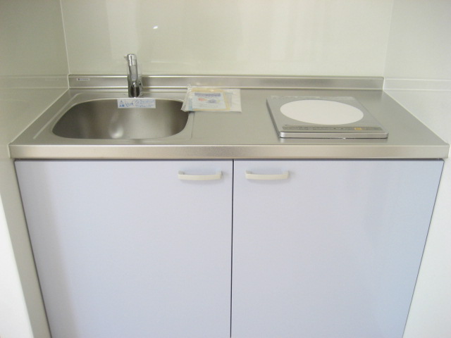 Kitchen. IH cooking heater