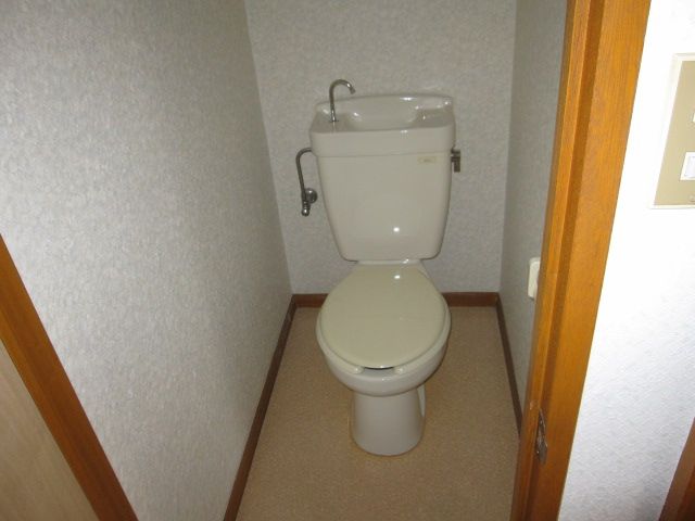 Toilet. Toilet
