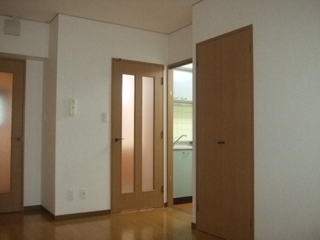 Living and room. Kitchen from the living room (the same type)