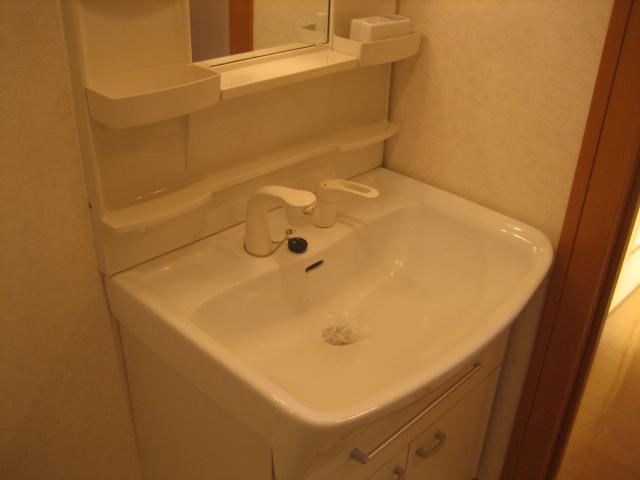 Washroom. Shampoo dresser