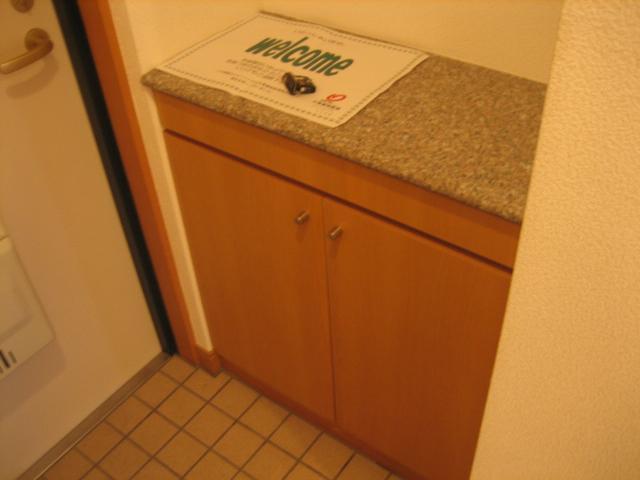 Entrance. Entrance (inverted type)