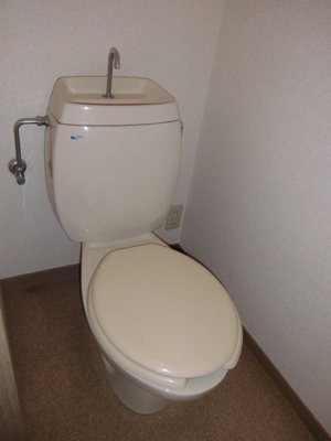 Toilet. Toilet