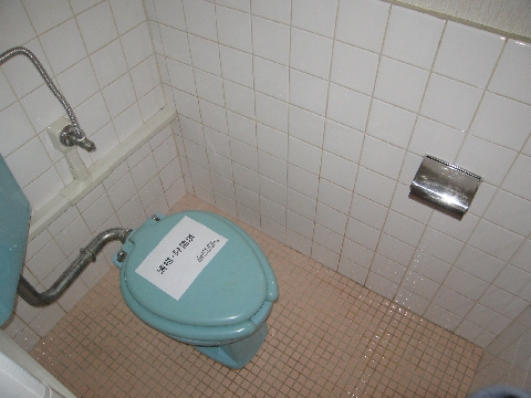 Toilet. WC