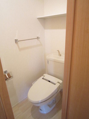 Toilet. Warm water washing toilet seat