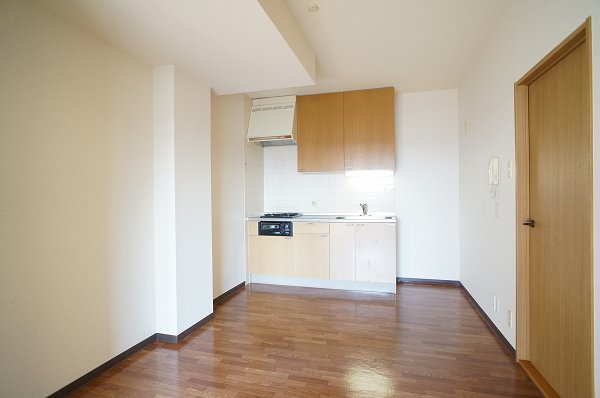 Kitchen. The kitchen is 2 lot gas stoves, With grill