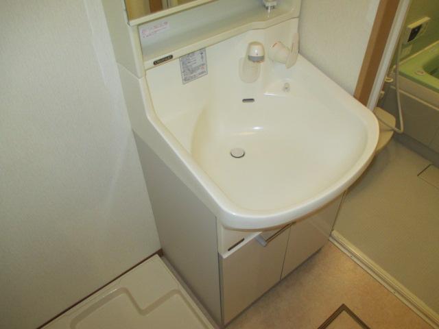 Washroom. Shampoo dresser