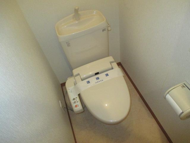 Toilet. Bidet