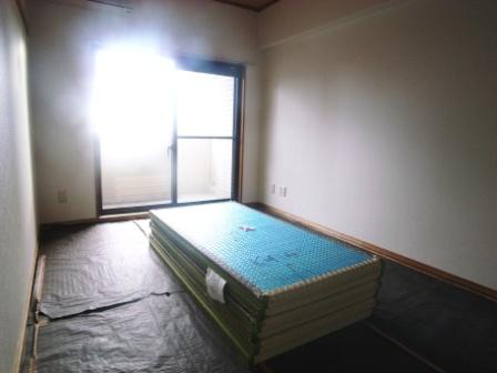 Living and room. Japanese-style room, MinamiMuko