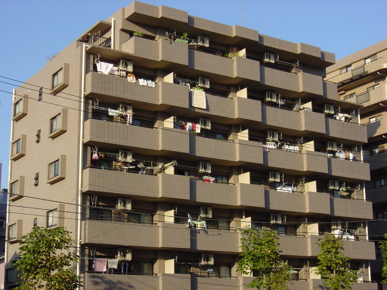 Building appearance. Outer wall tile Zhang, 7-story