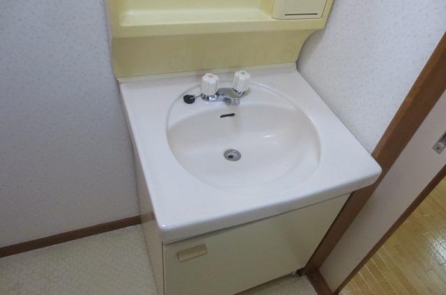 Washroom. Wash basin