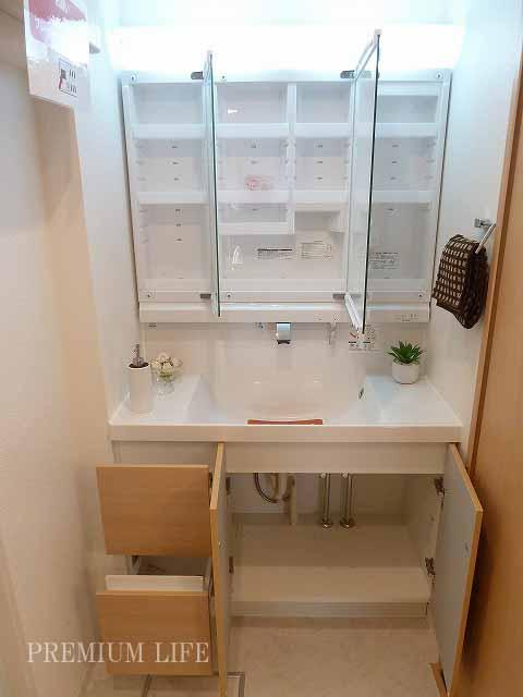 Wash basin, toilet.  [Bathroom vanity] Storage rich vanity.