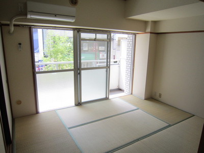 Living and room. Sunny living room