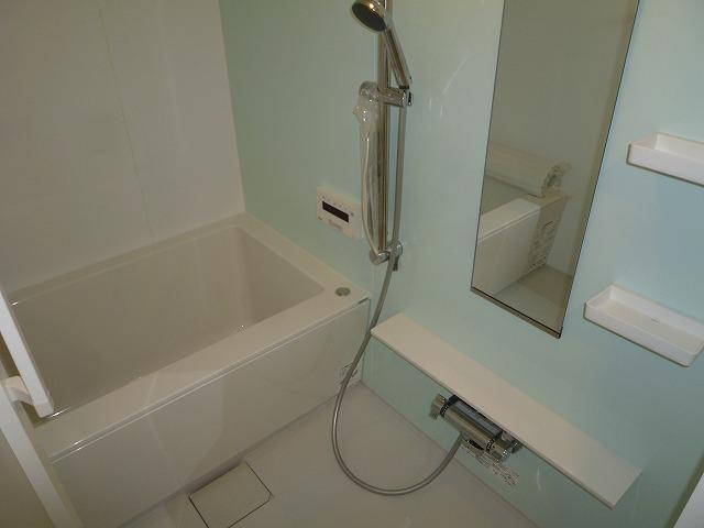 Bathroom. Indoor (October 10, 2013) Shooting