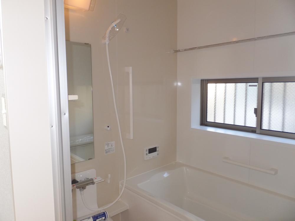 Bathroom. Local (January 2014) Shooting