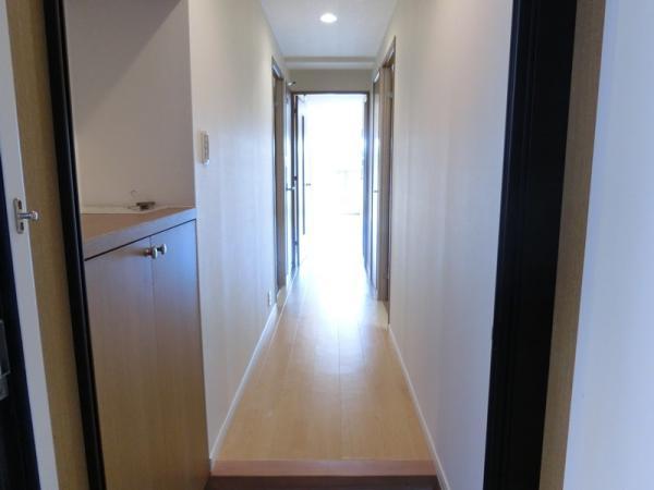 Other introspection. Corridor