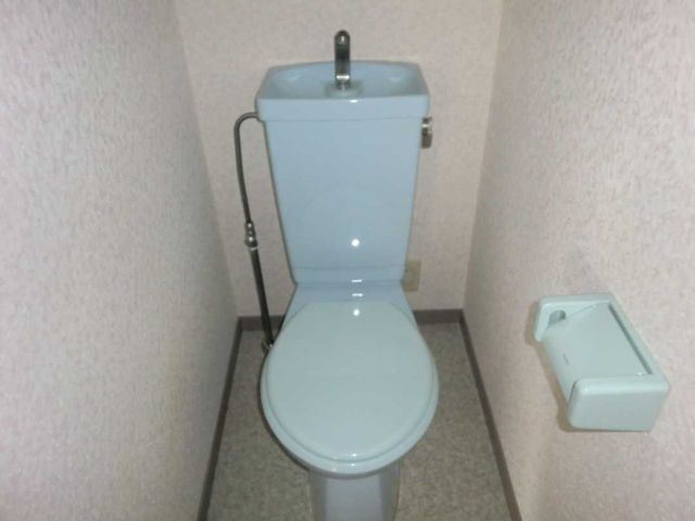Toilet. Toilet
