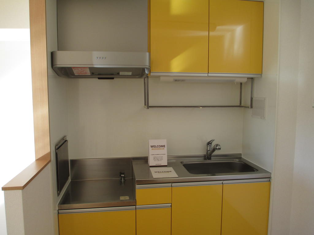 Kitchen. Stylish kitchen