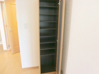 Entrance. With a convenient shoe box. 