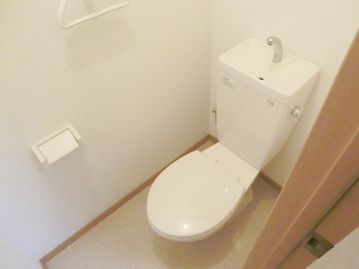 Toilet. Western-style toilet. 