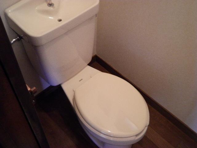 Toilet. Toilet