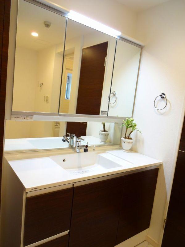 Wash basin, toilet. Bathroom vanity