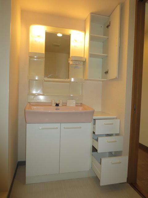 Washroom. Vanity a lot of storage