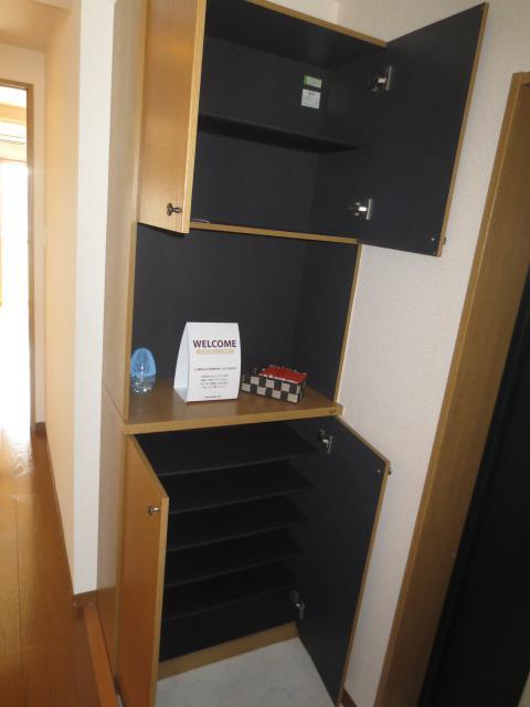 Washroom. With high storage capacity shoe box