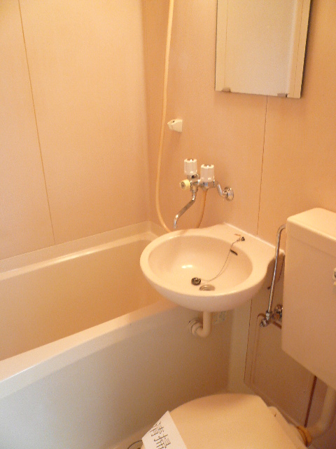 Bath. Reference photograph