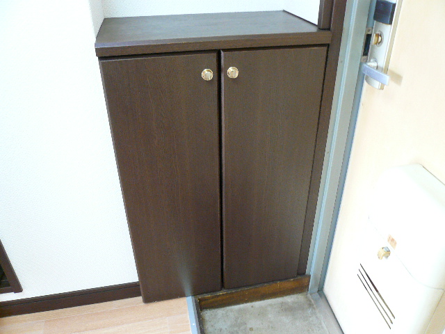 Entrance. Shoes BOX (reference photograph)