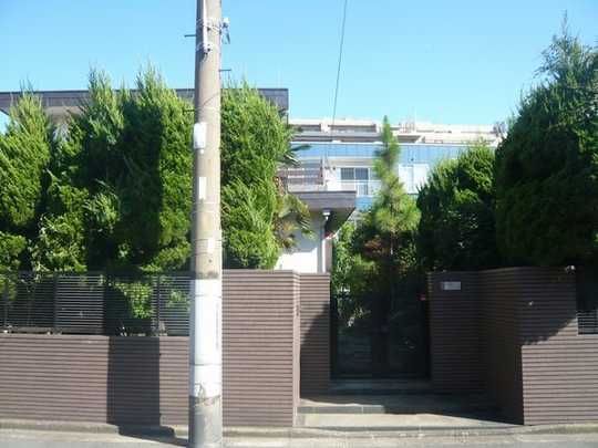 Local land photo. Appearance 1