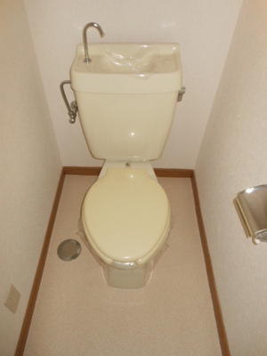 Toilet. Toilet